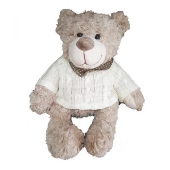 Teddy Bear with jacket